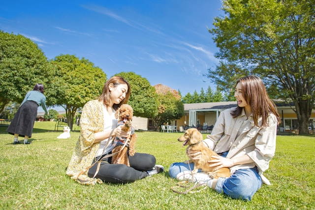 世界の名犬牧場